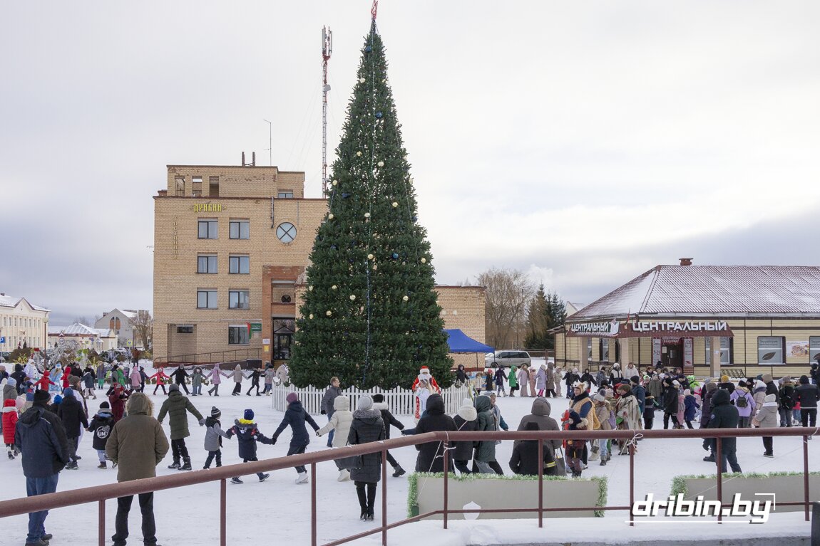 Резиденция Деда Мороза в Дрибине встречала юных посетителей