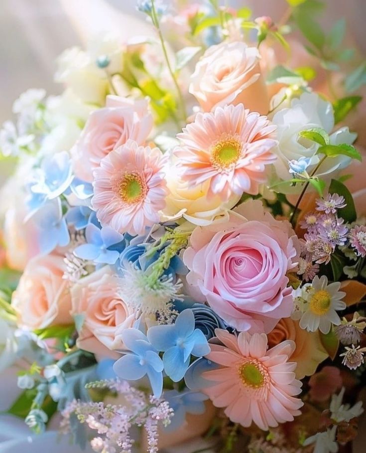 Поздравление с Днем образования Могилевской области