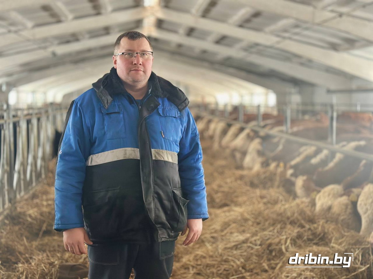 Племенной комплекс по разведению мясных герефордов для Дрибинского района &mdash; это мощный импульс в развитии животноводства