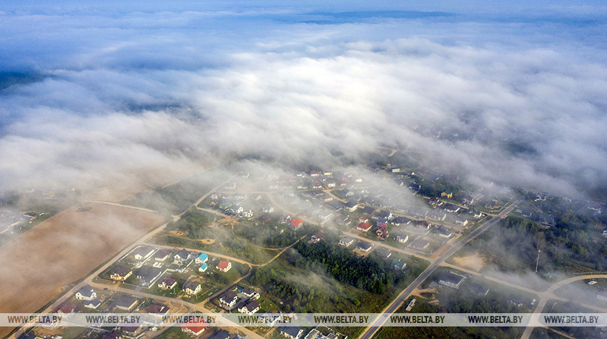 Площадь Дрибинского района увеличится на 10 тыс. га 
