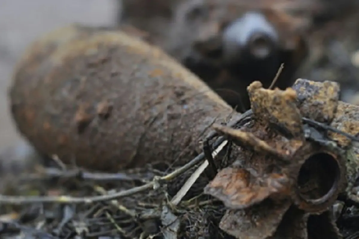 Опасная находка!