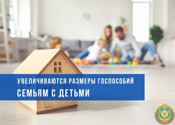 В Беларуси с 1 мая вырастут размеры государственных пособий семьям, воспитывающим детей