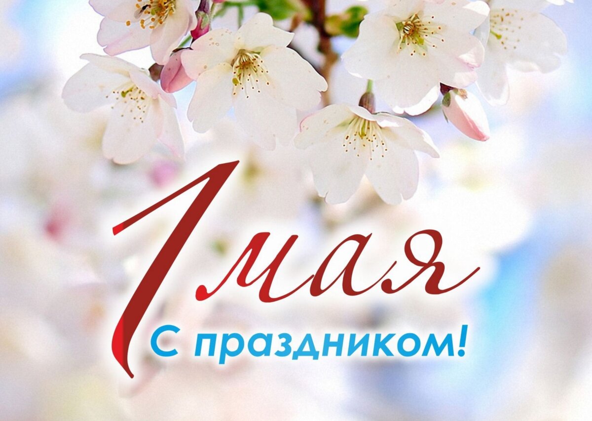 Владимир Павловский поздравляет с Праздником труда – 1 Мая!