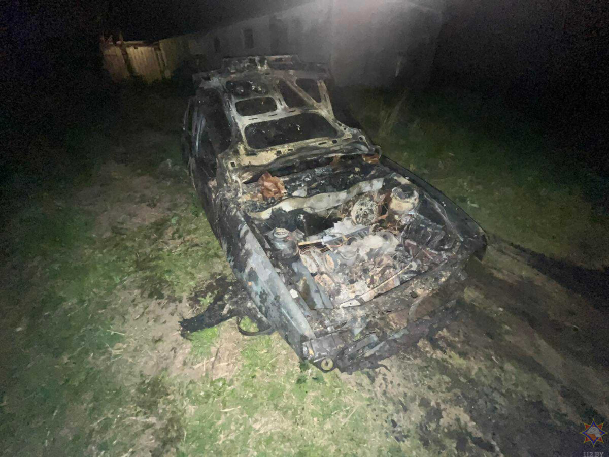Пожар в Дрибинском районе
