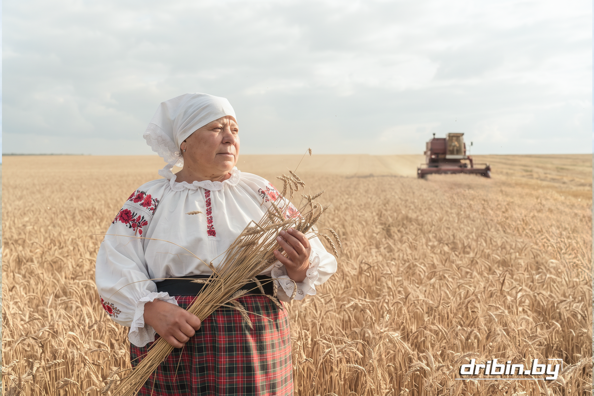 Как агроном Анна Галанова связала судьбу с родными полями