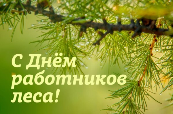 Руководство района поздравляет работников лесного хозяйства с профессиональным праздником