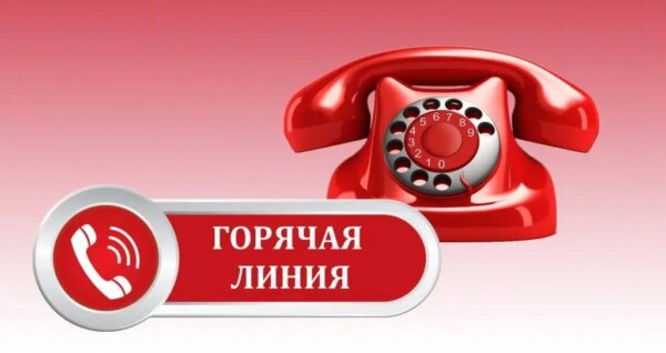 22 сентября Комитет государственного контроля Могилевской области будет проводить горячую линию с населением