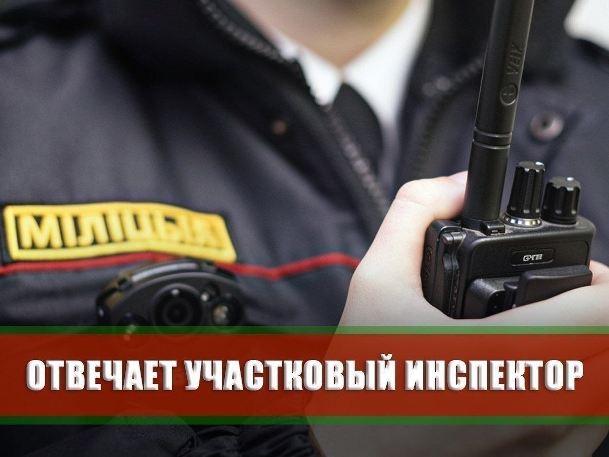 Выгул собак: права, обязанности, штрафы