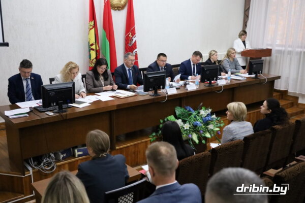 Развитие сферы культуры рассмотрели на заседании Дрибинского райисполкома